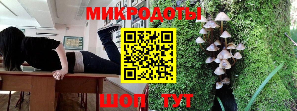 Псилоцибиновые грибы GOLDEN TEACHER Нерюнгри